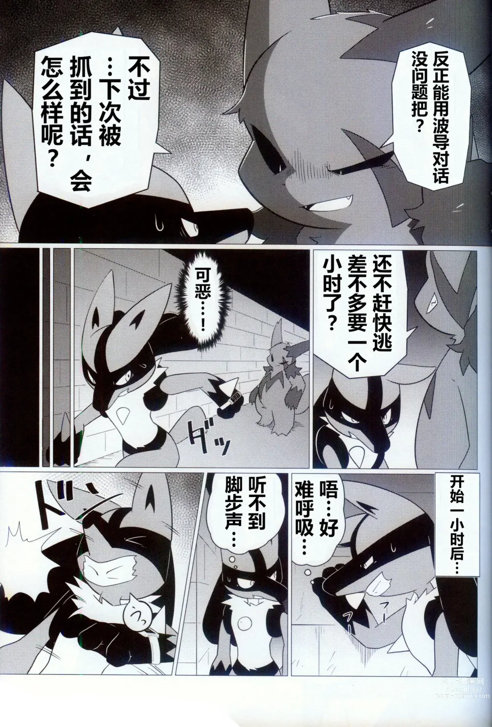 Page 13 of doujinshi 我家的玩具2