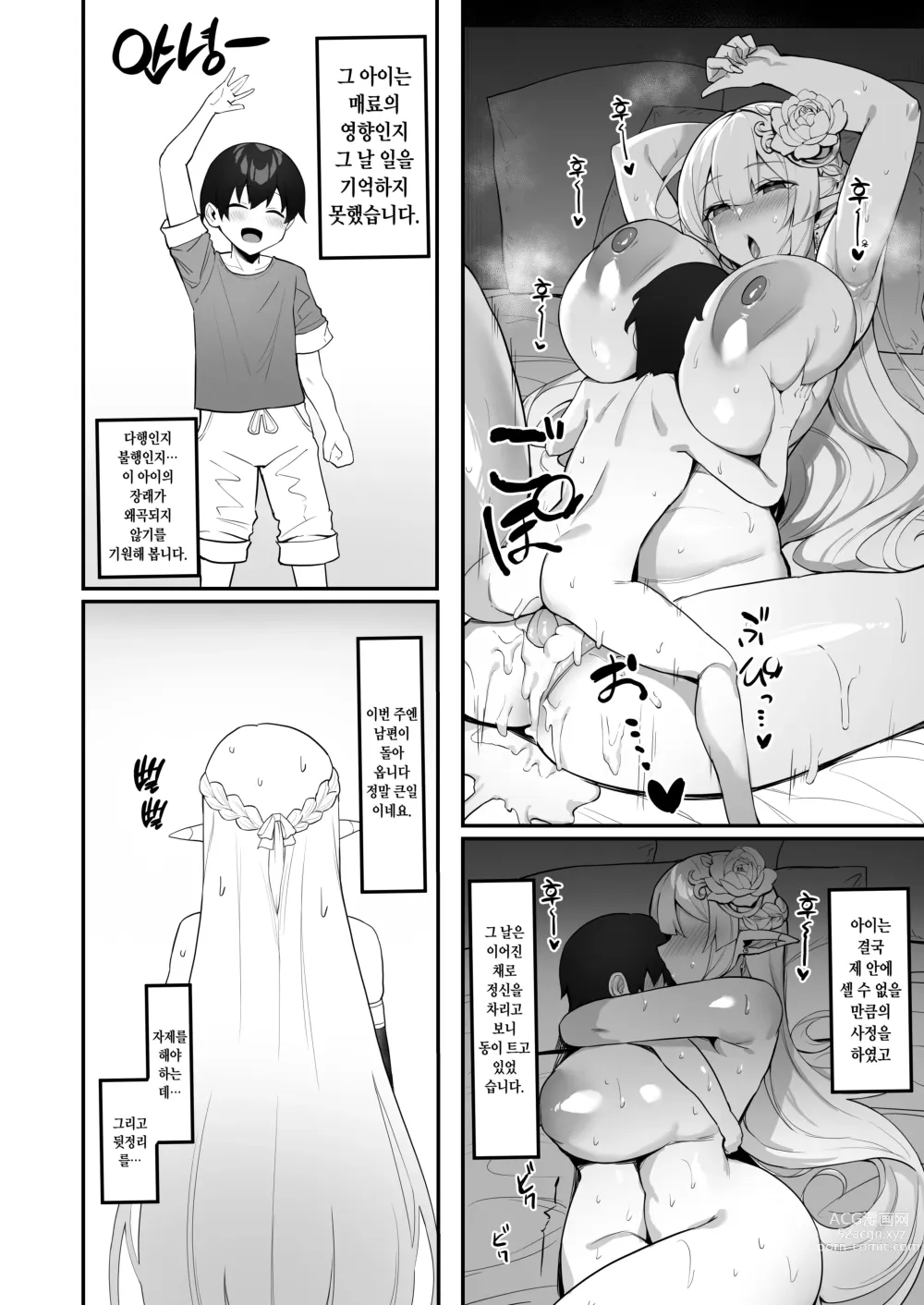 Page 26 of doujinshi Elf Mama-san no Manga