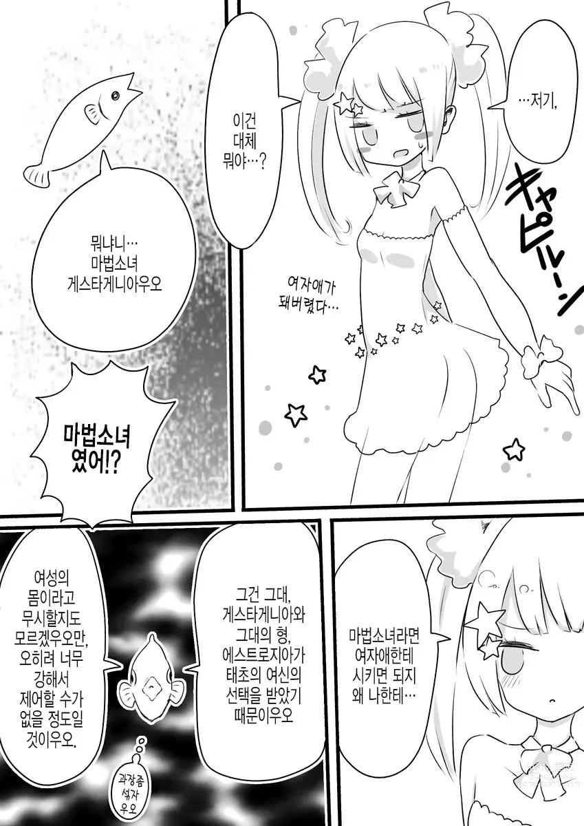 Page 40 of doujinshi 마법소녀 에스트로지아 & 게스타게니아