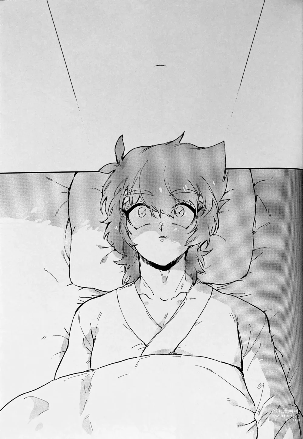 Page 24 of doujinshi Seirei Kari