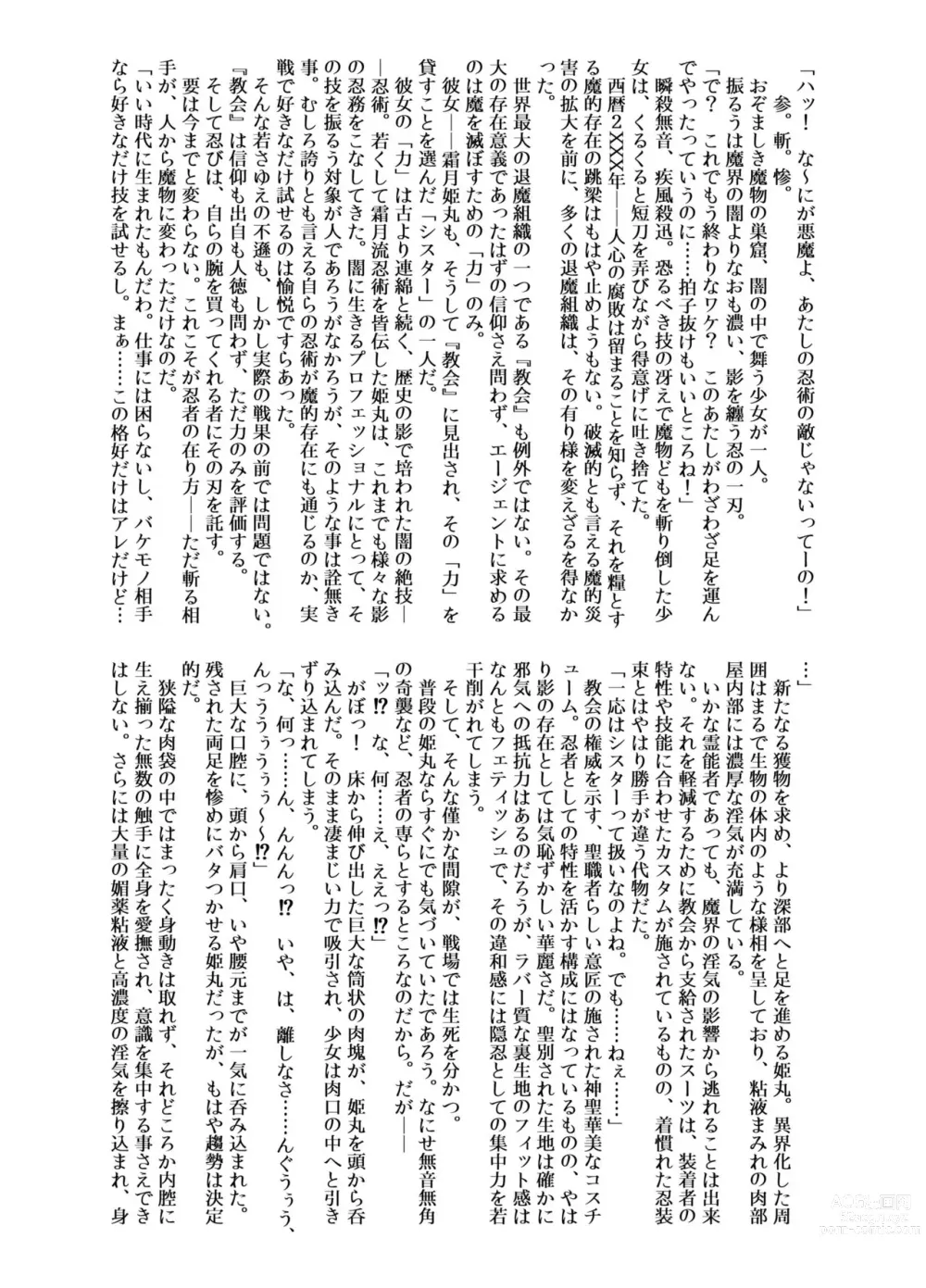 Page 5 of doujinshi Futsumanin Himemaru