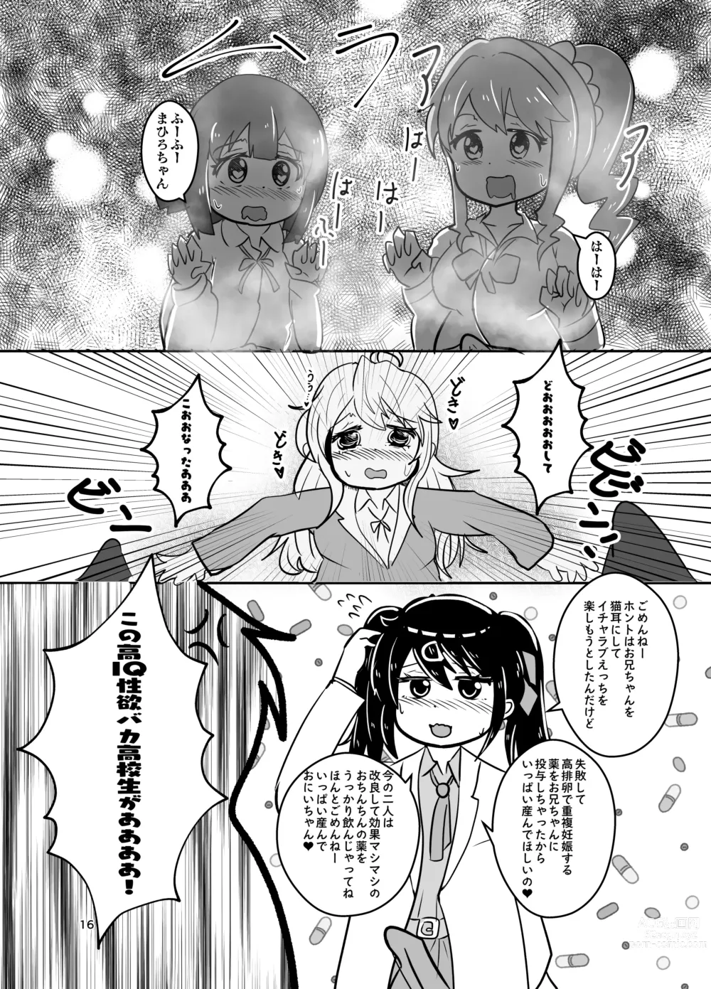 Page 16 of doujinshi Onii-chan wa Ochimai! w