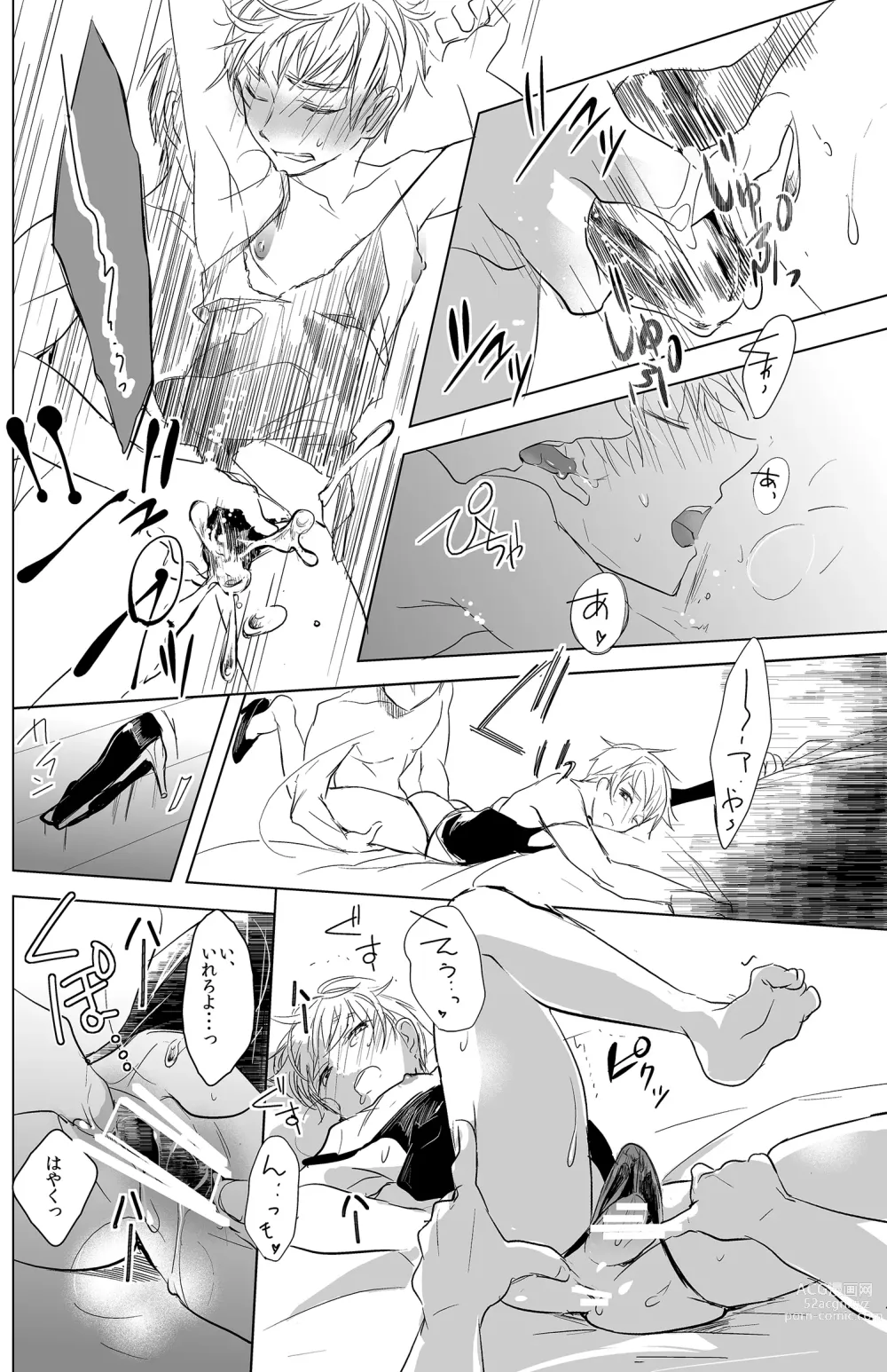 Page 17 of doujinshi Flare Pierce