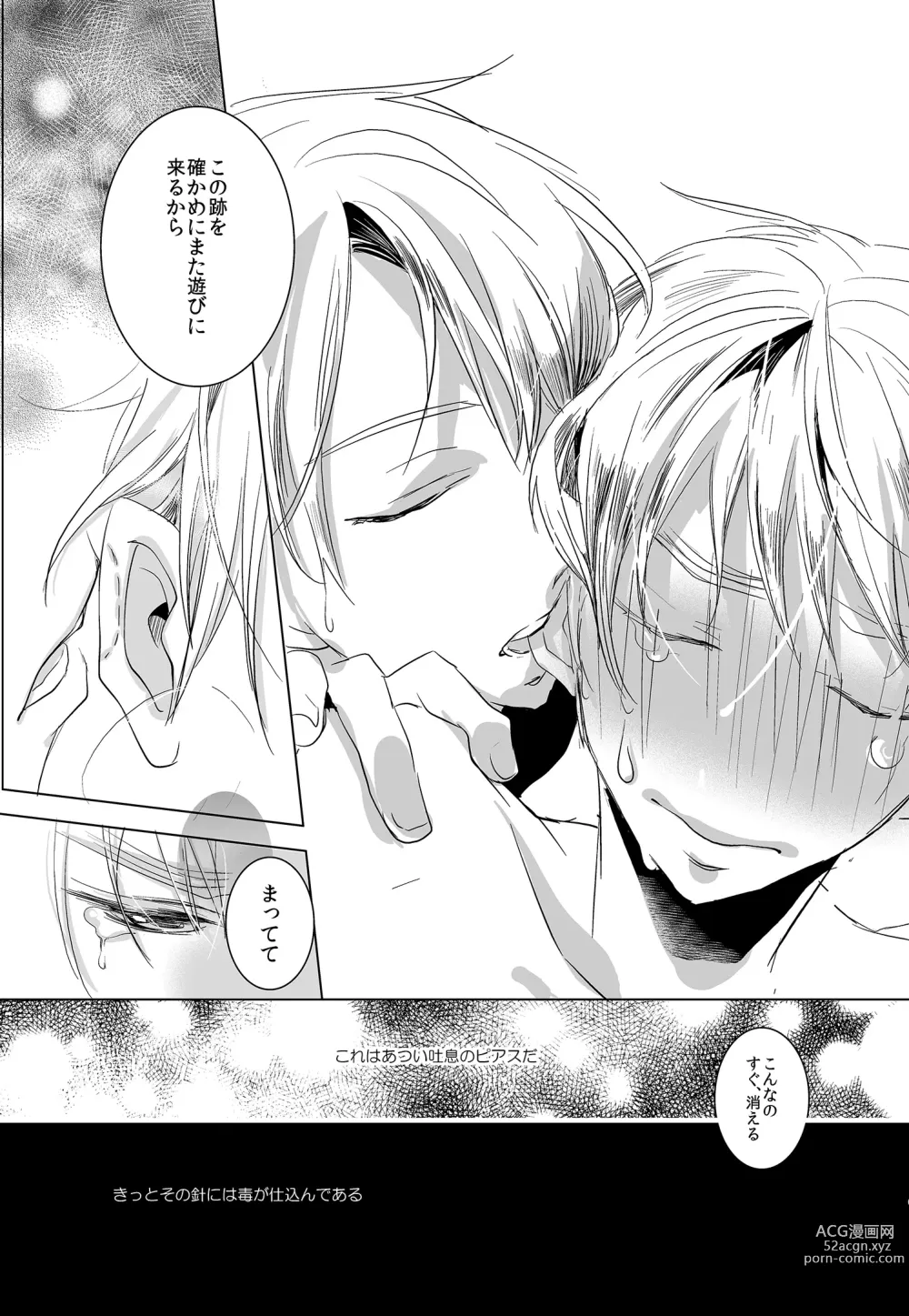 Page 24 of doujinshi Flare Pierce