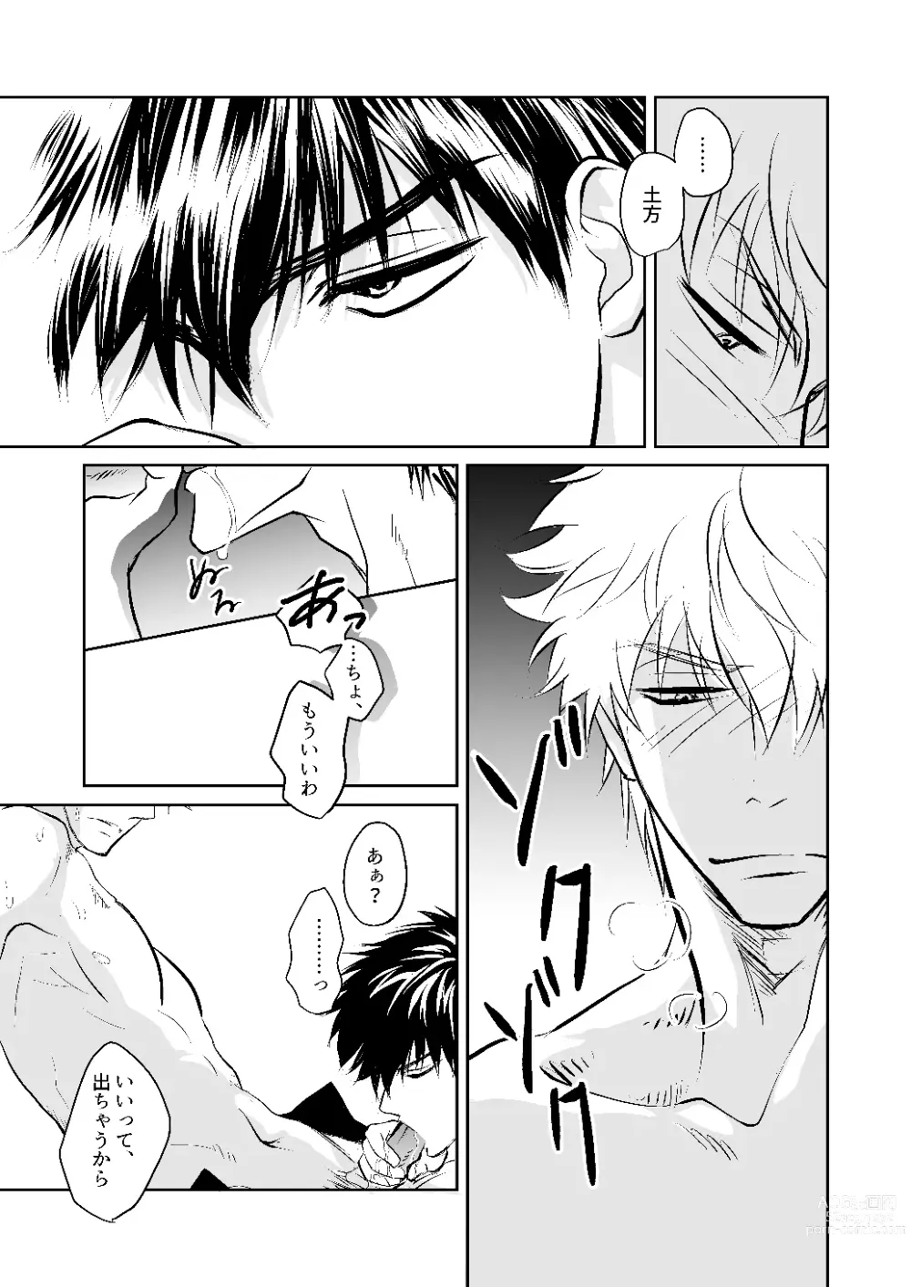 Page 12 of doujinshi Seikou Houshuu