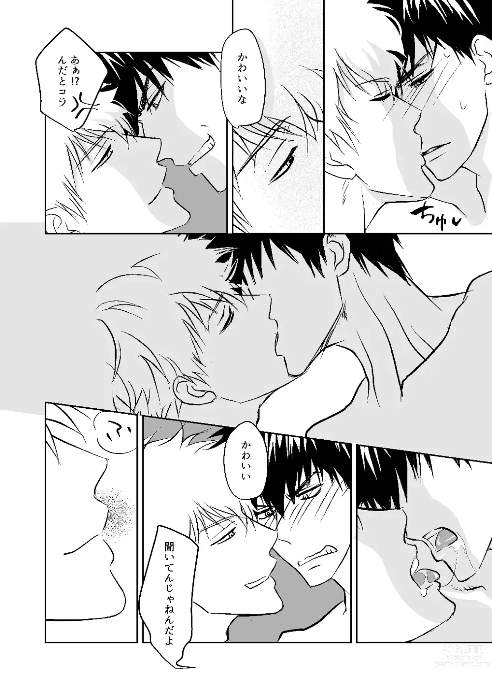 Page 19 of doujinshi Seikou Houshuu