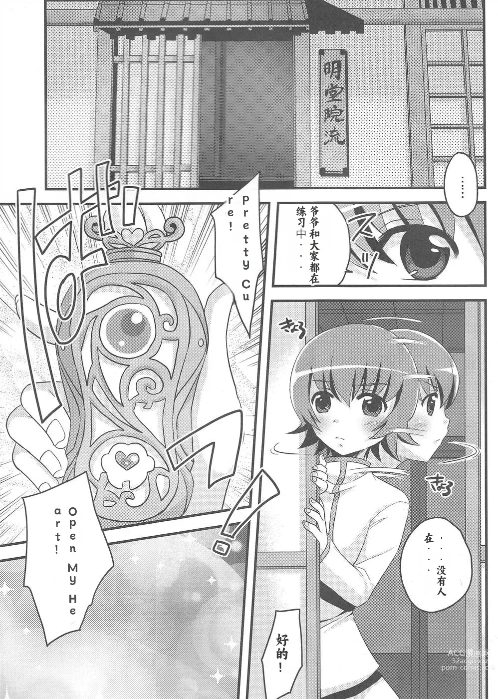 Page 4 of doujinshi Kimi no Kozue, Boku no Kage