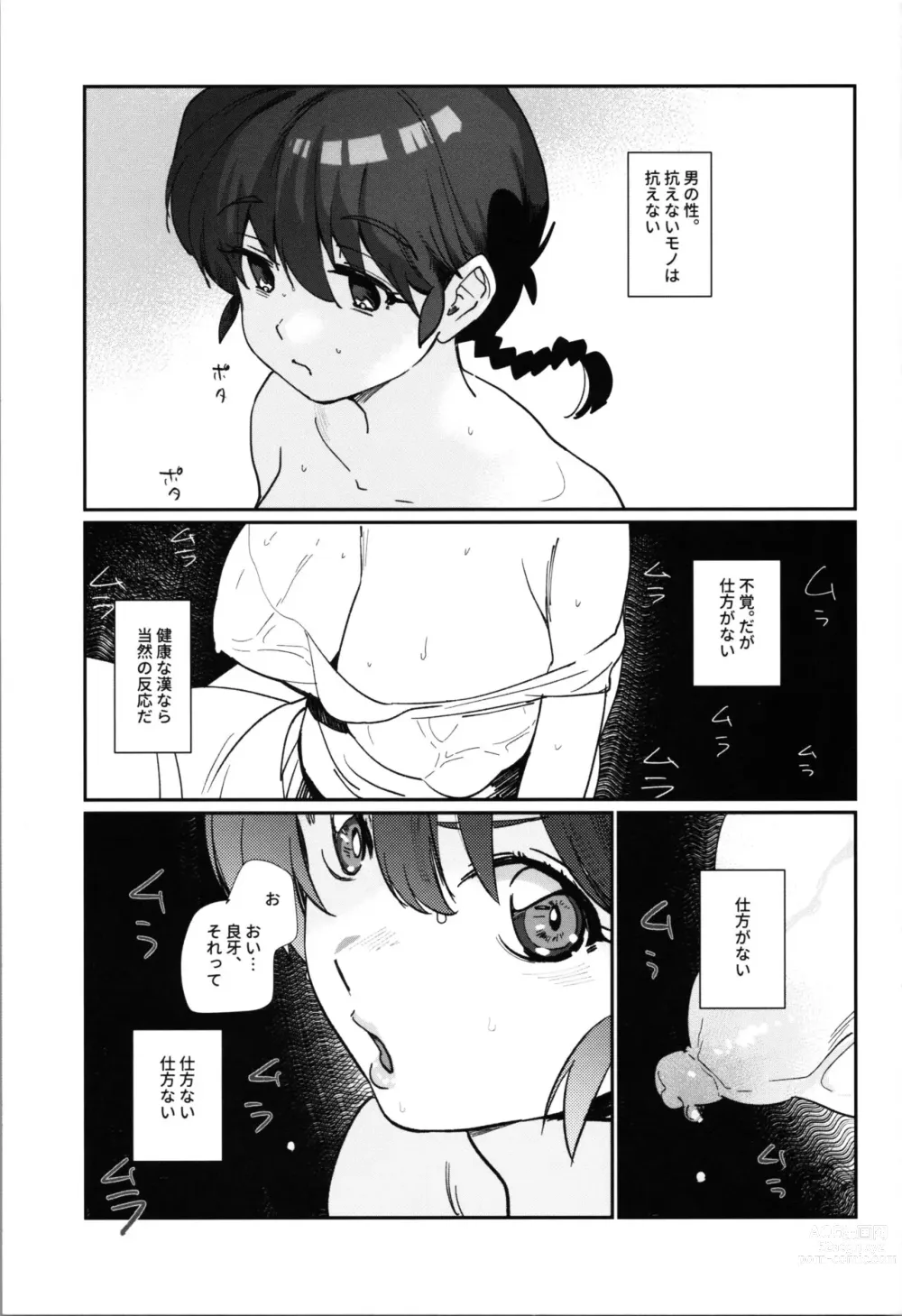 Page 3 of doujinshi 1/2 P-chan Mou Ranma de Ikka Hen