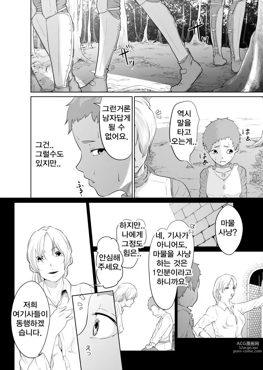 Page 12 of doujinshi Onna Kishi no Hakarigoto