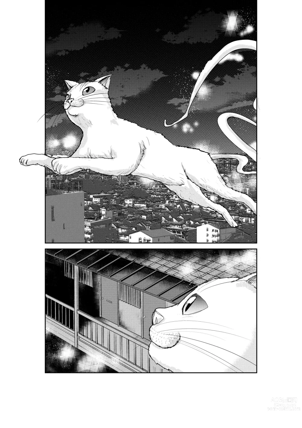 Page 28 of doujinshi Neko