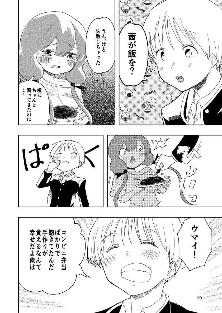 Page 31 of doujinshi Hadairo no Seishun 04