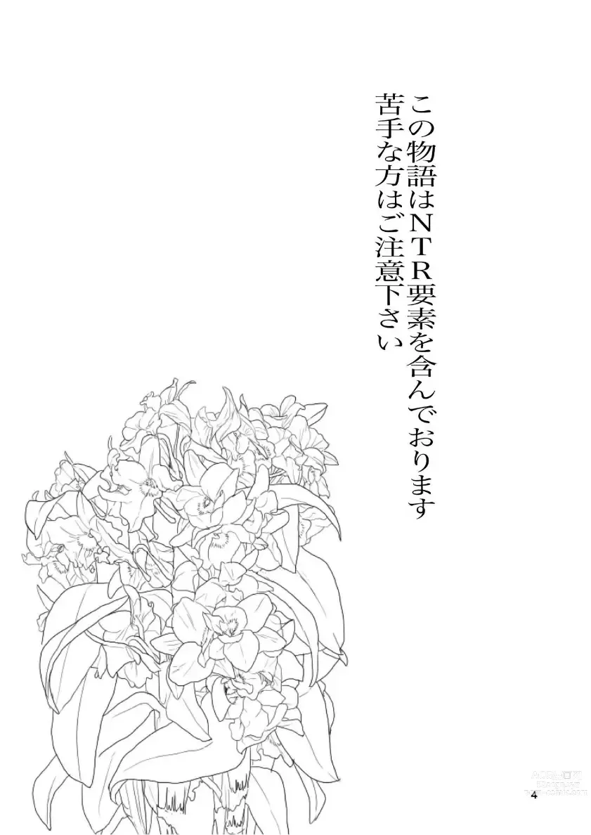 Page 5 of doujinshi Hadairo no Seishun 04