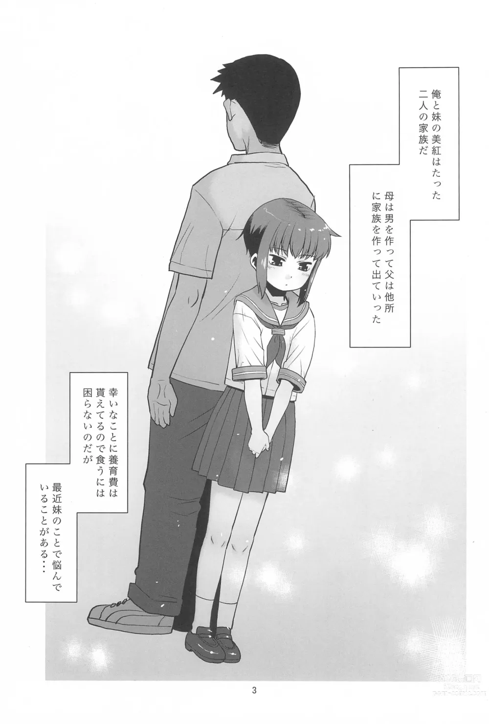 Page 3 of doujinshi Imouto wa Neteru dake.