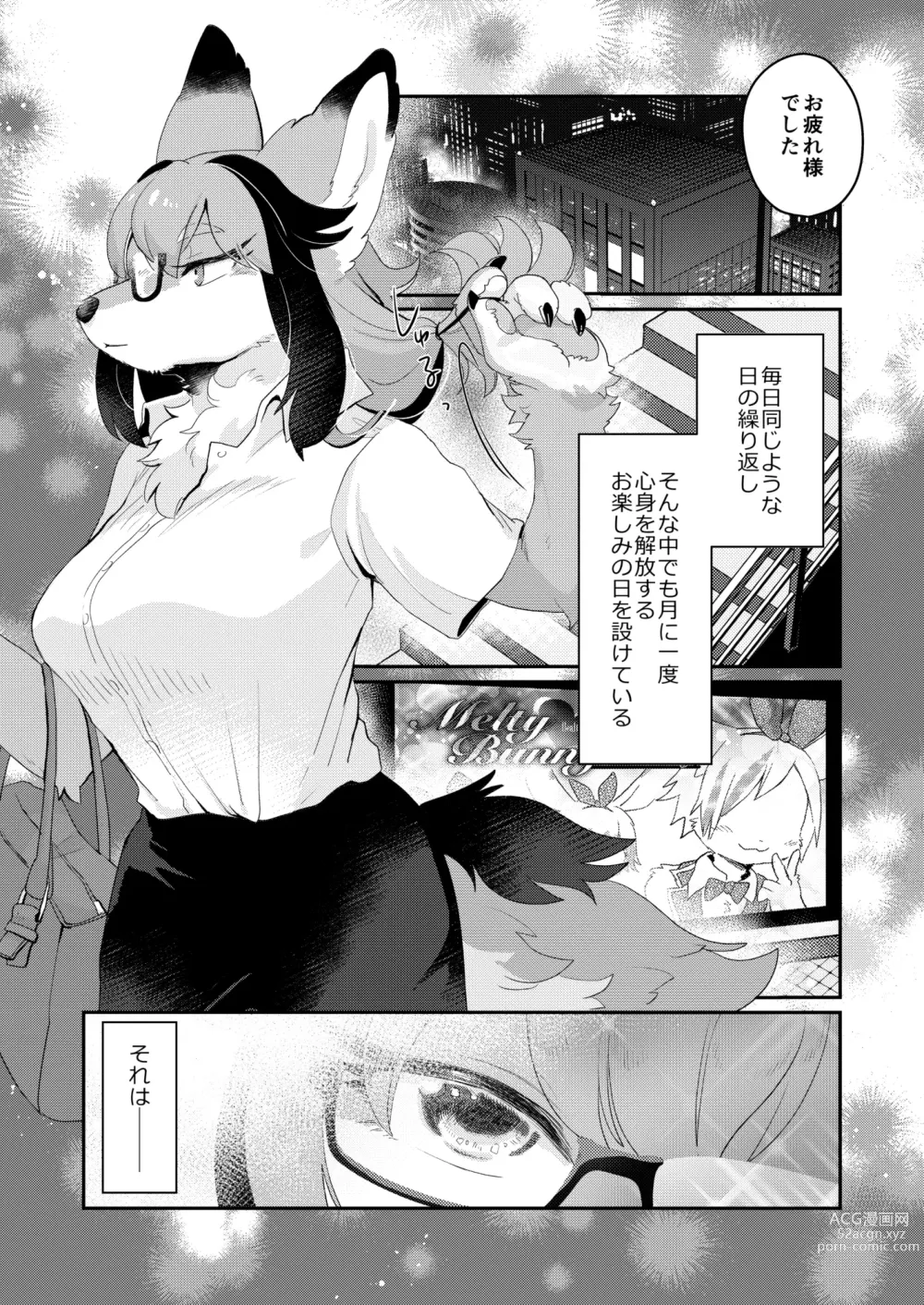 Page 3 of doujinshi Youkoso! Melty Bunnys e side Guest