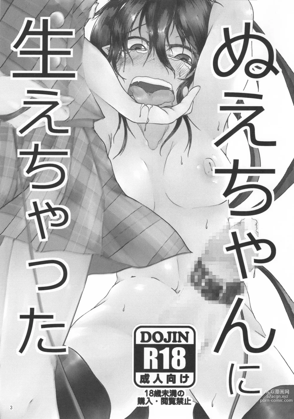 Page 2 of doujinshi Nue-chan ni Haechatta