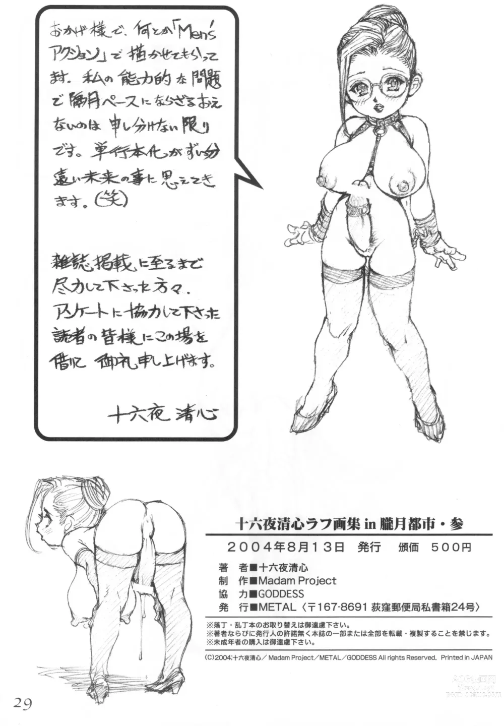 Page 28 of doujinshi Izayoi Seishin Rough Gashuu  in Rougetsu Toshi San