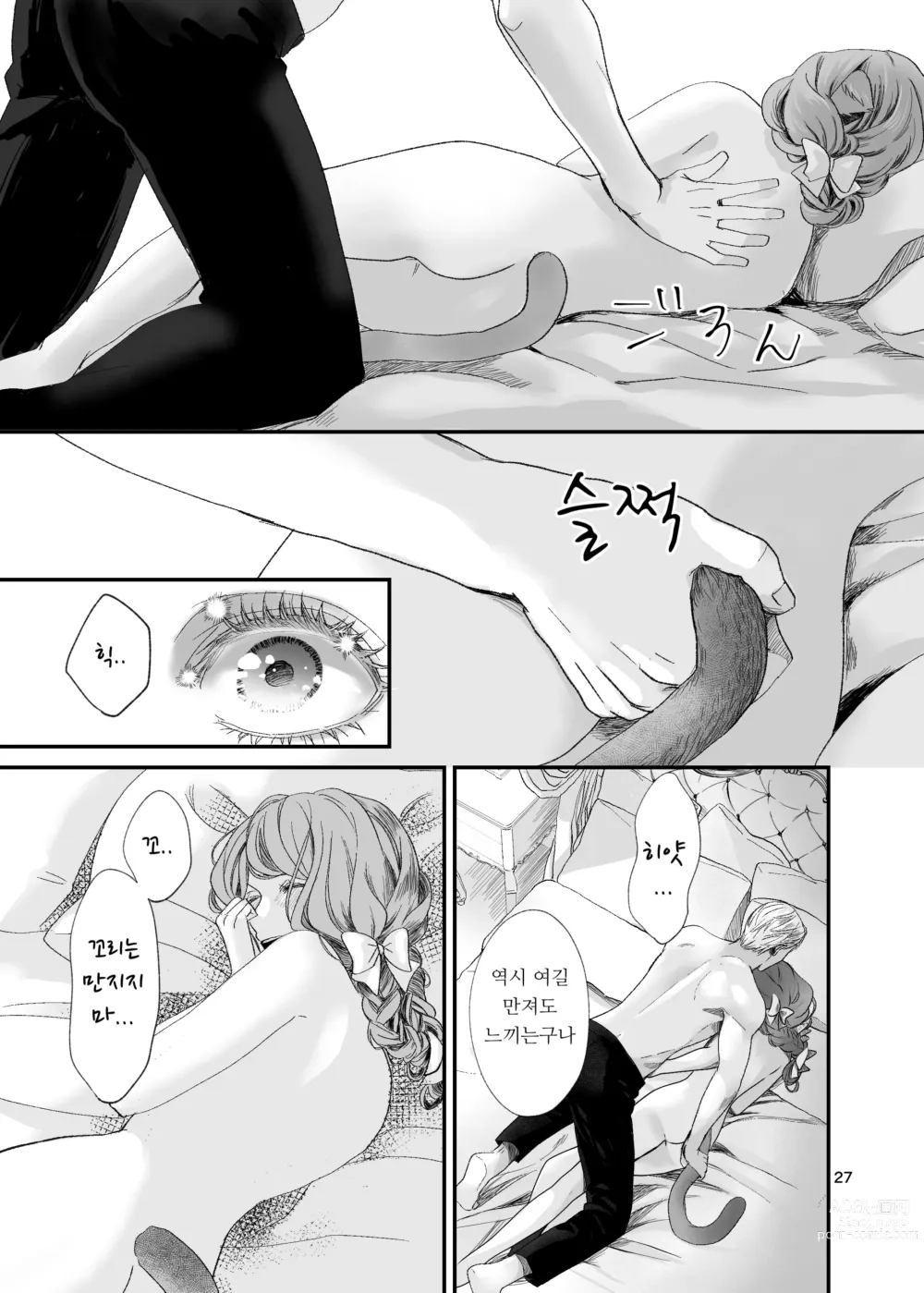 Page 27 of doujinshi 수인 영애와 혼약자