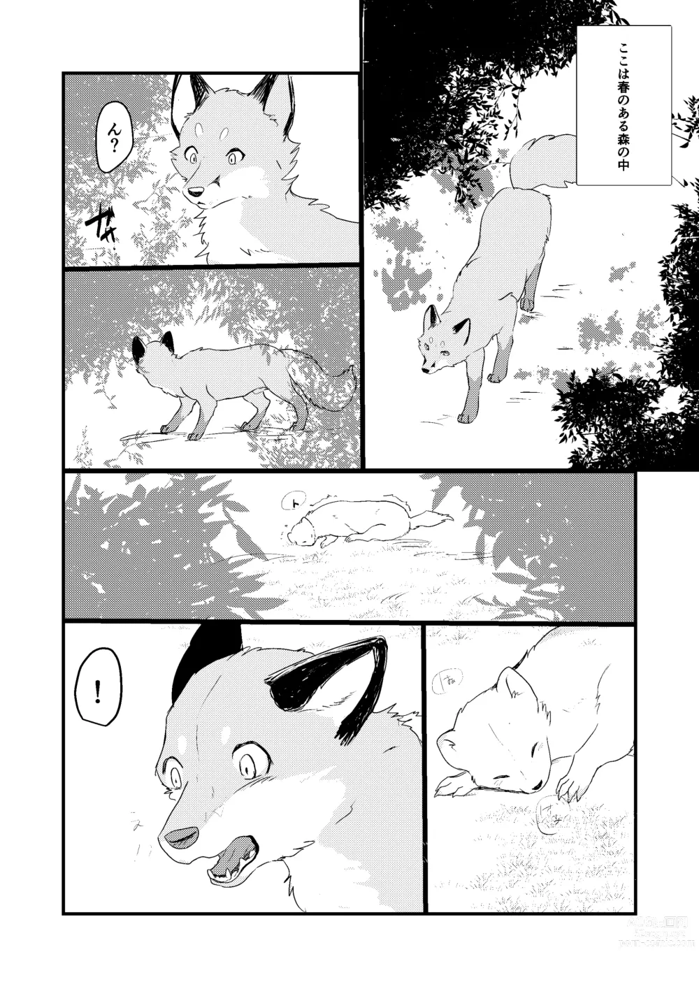 Page 3 of doujinshi Haru no nioi ni sasowarete (uncensored)