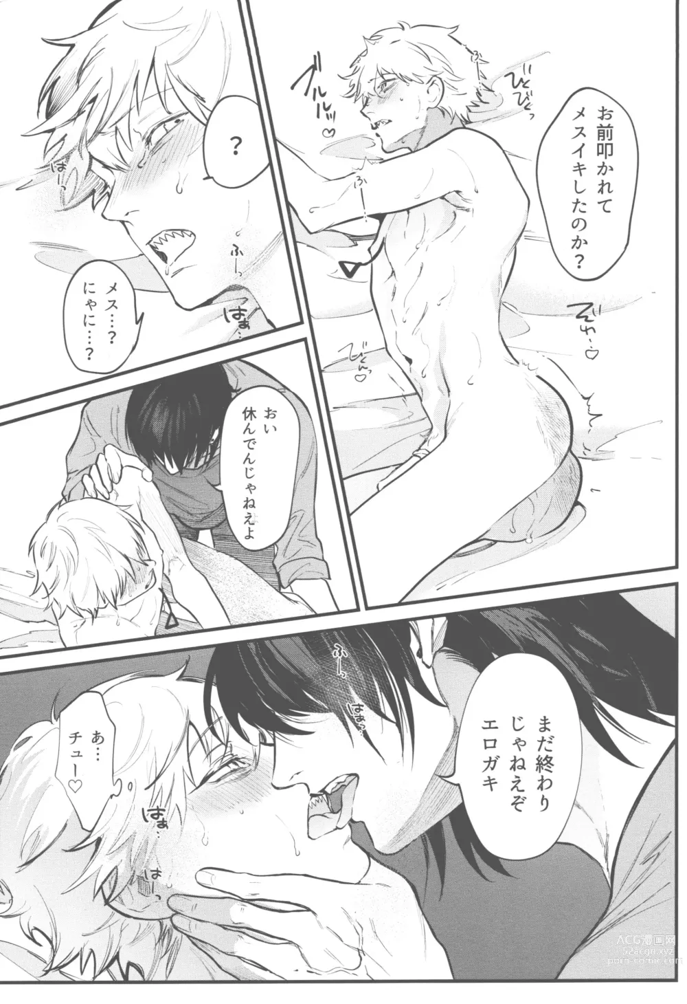 Page 16 of doujinshi Kyouji nado Inu ni Kurete Yare - Give your pride to the dogs