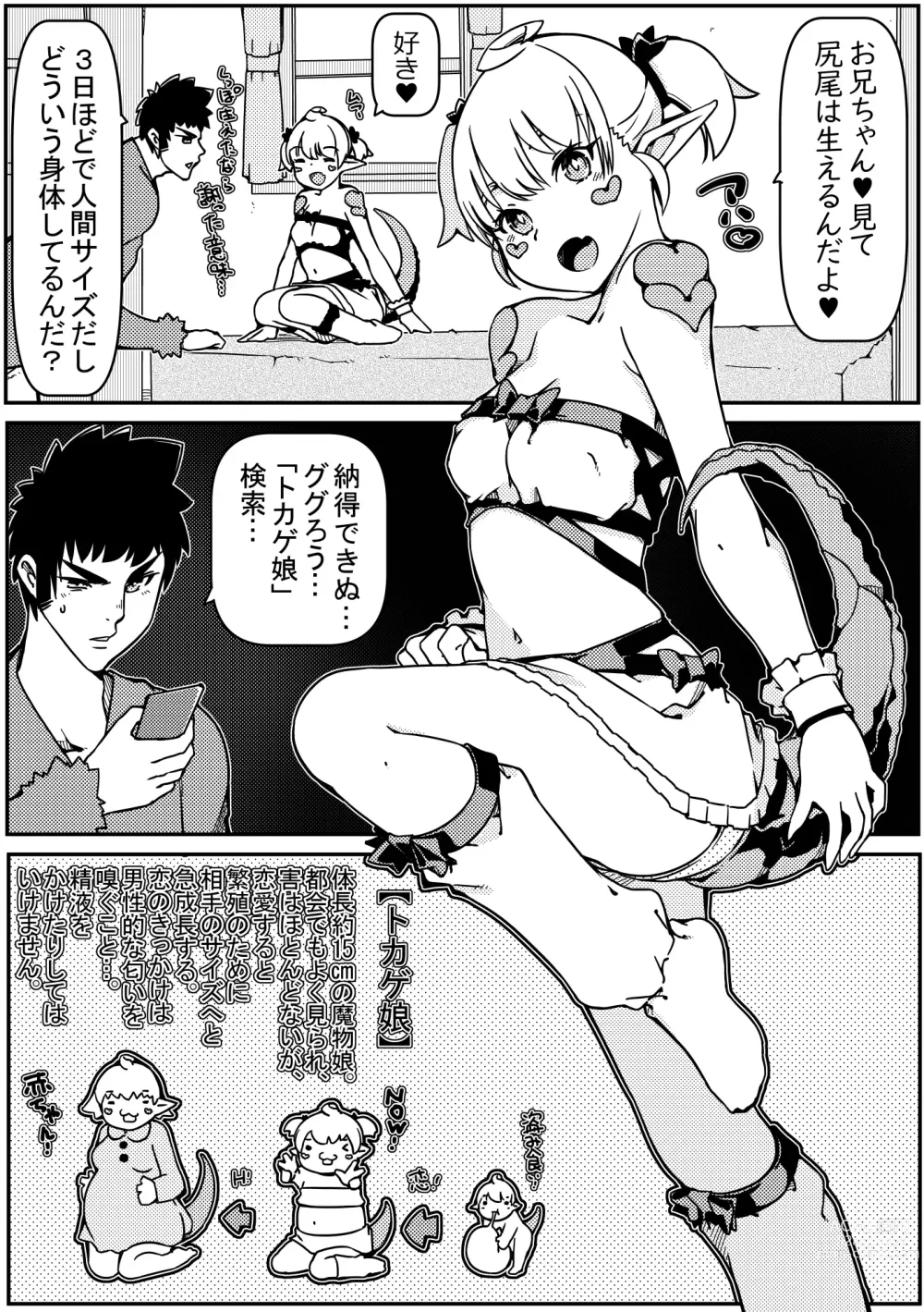 Page 8 of doujinshi Tokage Musume no Shippo o Kitte shimattara Yome ni Natta