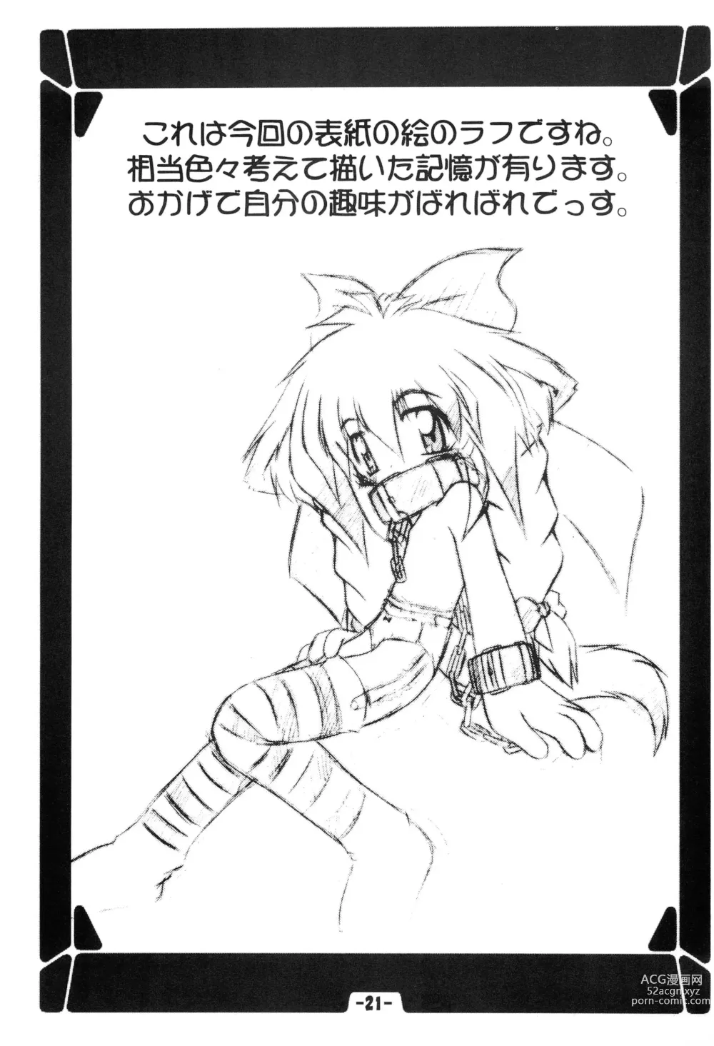 Page 23 of doujinshi Hinaya Tsuushinbo DX Vol.1