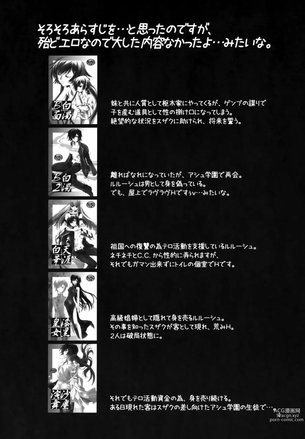 Page 3 of doujinshi Anryuu Meiro