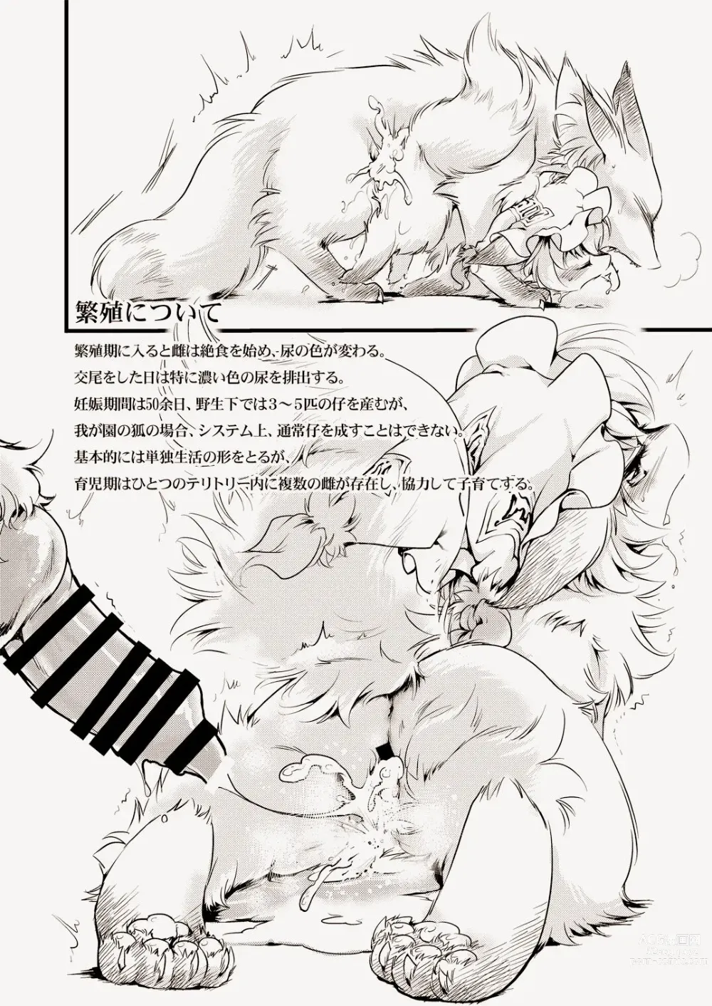 Page 7 of doujinshi WILD ANIMALS