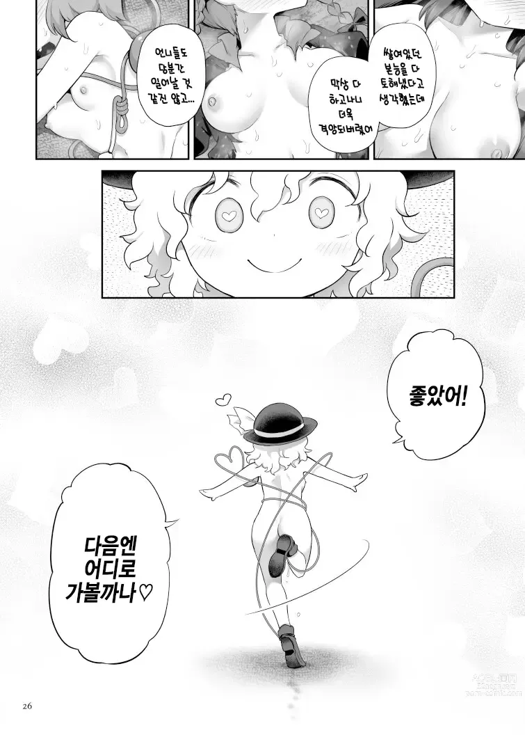 Page 25 of doujinshi 슈퍼 이드 (Touhou Project) [Korean] [Digital]