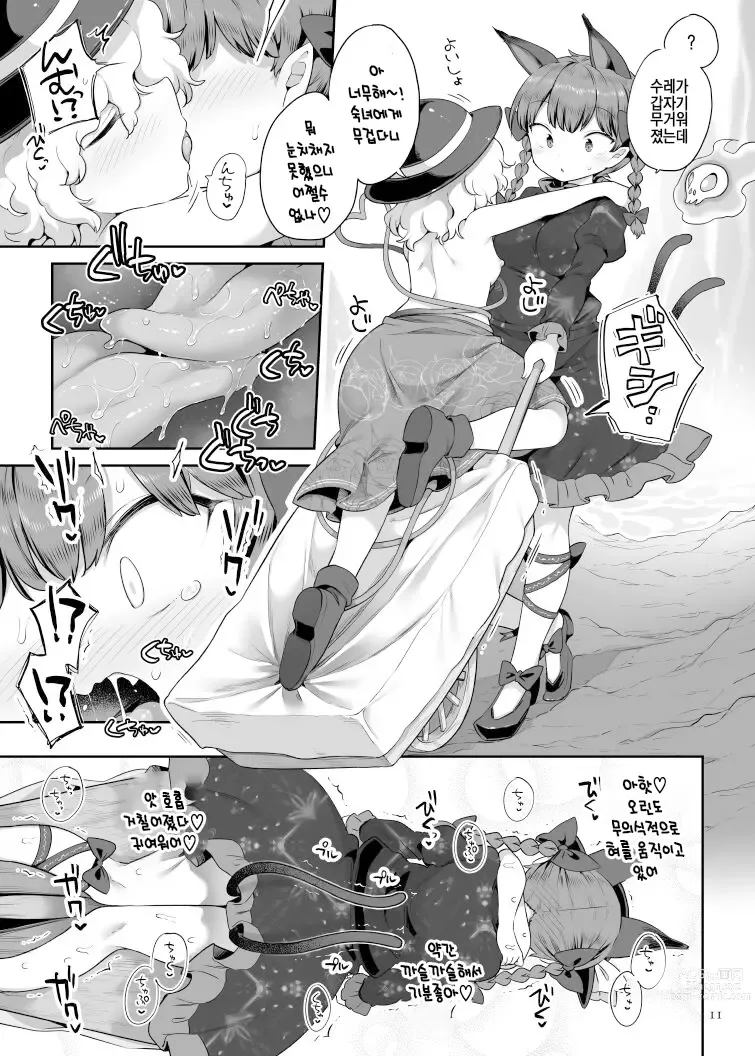 Page 10 of doujinshi 슈퍼 이드 (Touhou Project) [Korean] [Digital]
