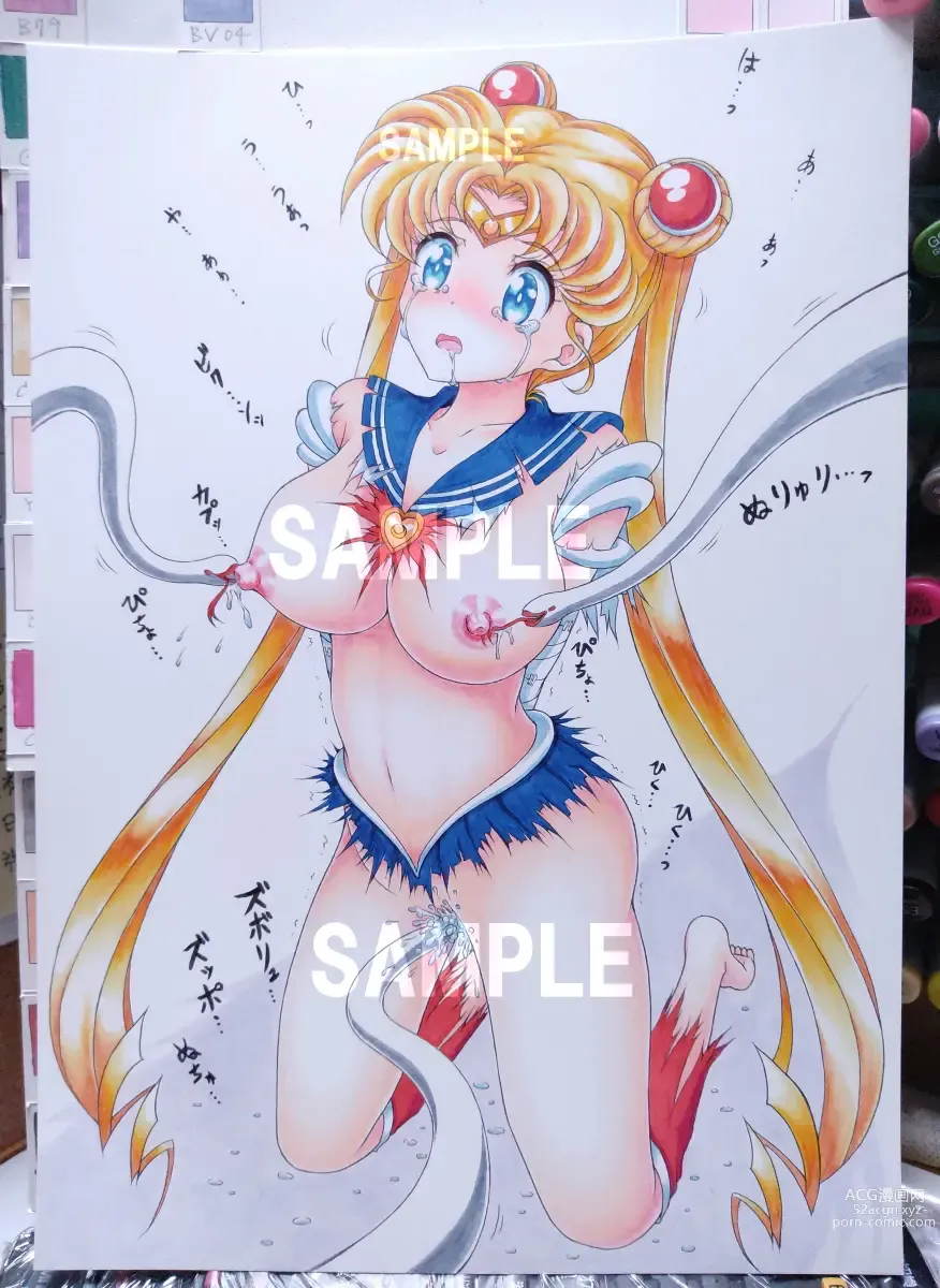 Page 1005 of imageset Sailor Moon Collection