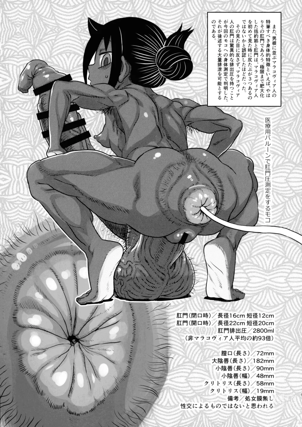 Page 8 of doujinshi Dankon no Ethnography -Malakovia no Sei to Haisetsu-