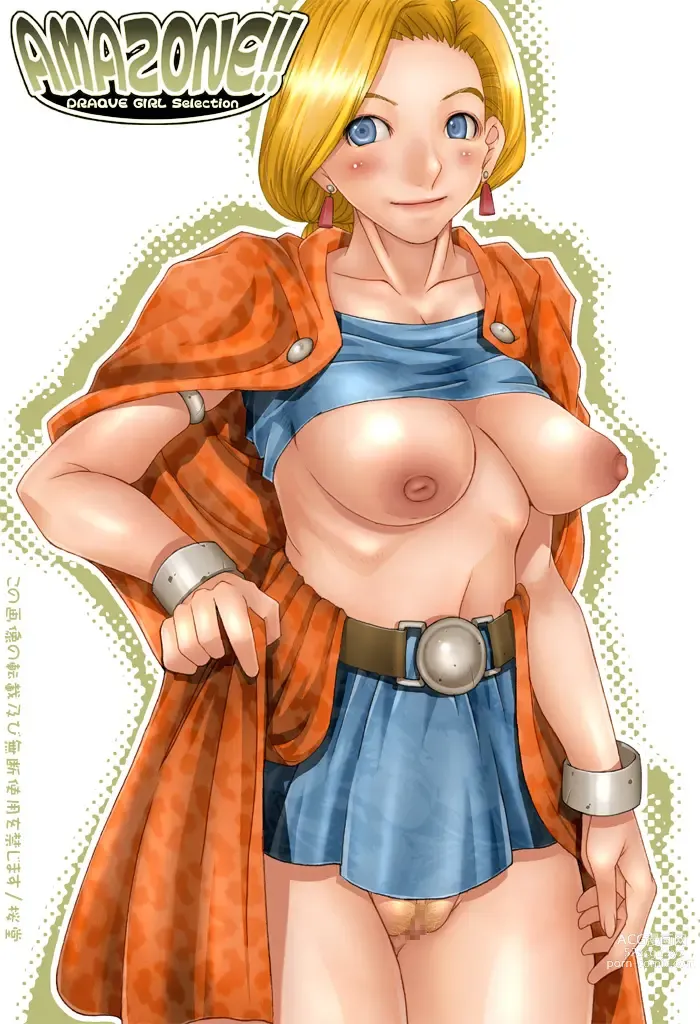 Page 527 of imageset Dragon Quest Collection