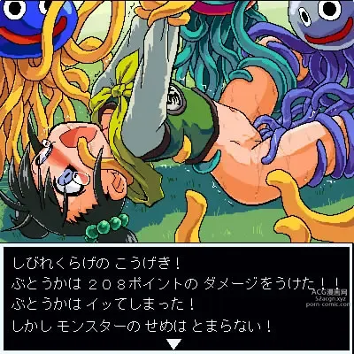 Page 1061 of imageset Dragon Quest Collection