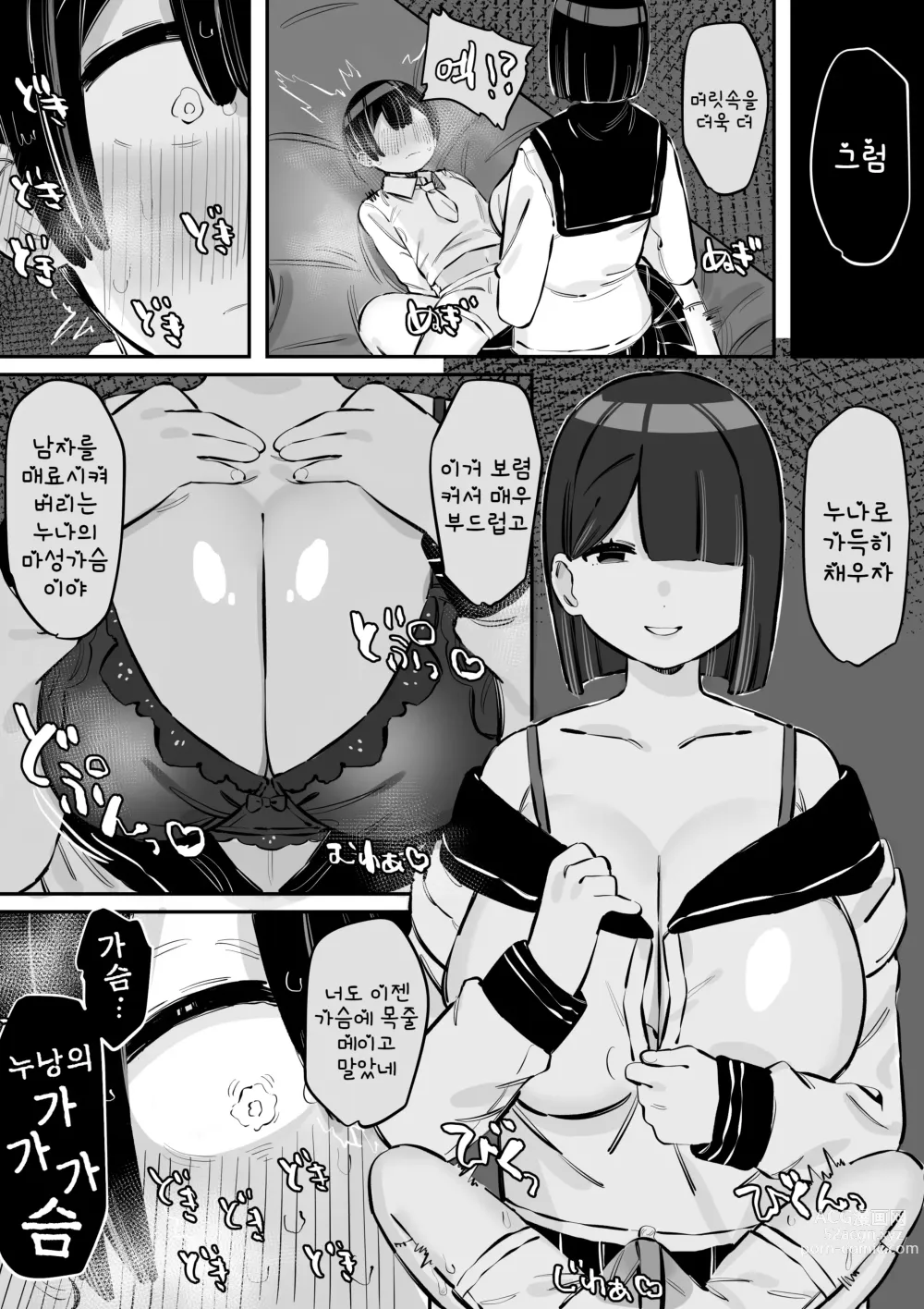 Page 20 of doujinshi 너무도 상냥한 누나의 이면