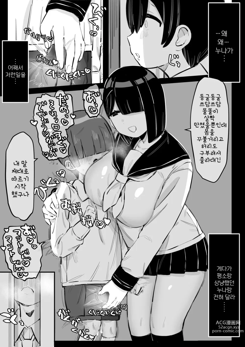 Page 5 of doujinshi 너무도 상냥한 누나의 이면