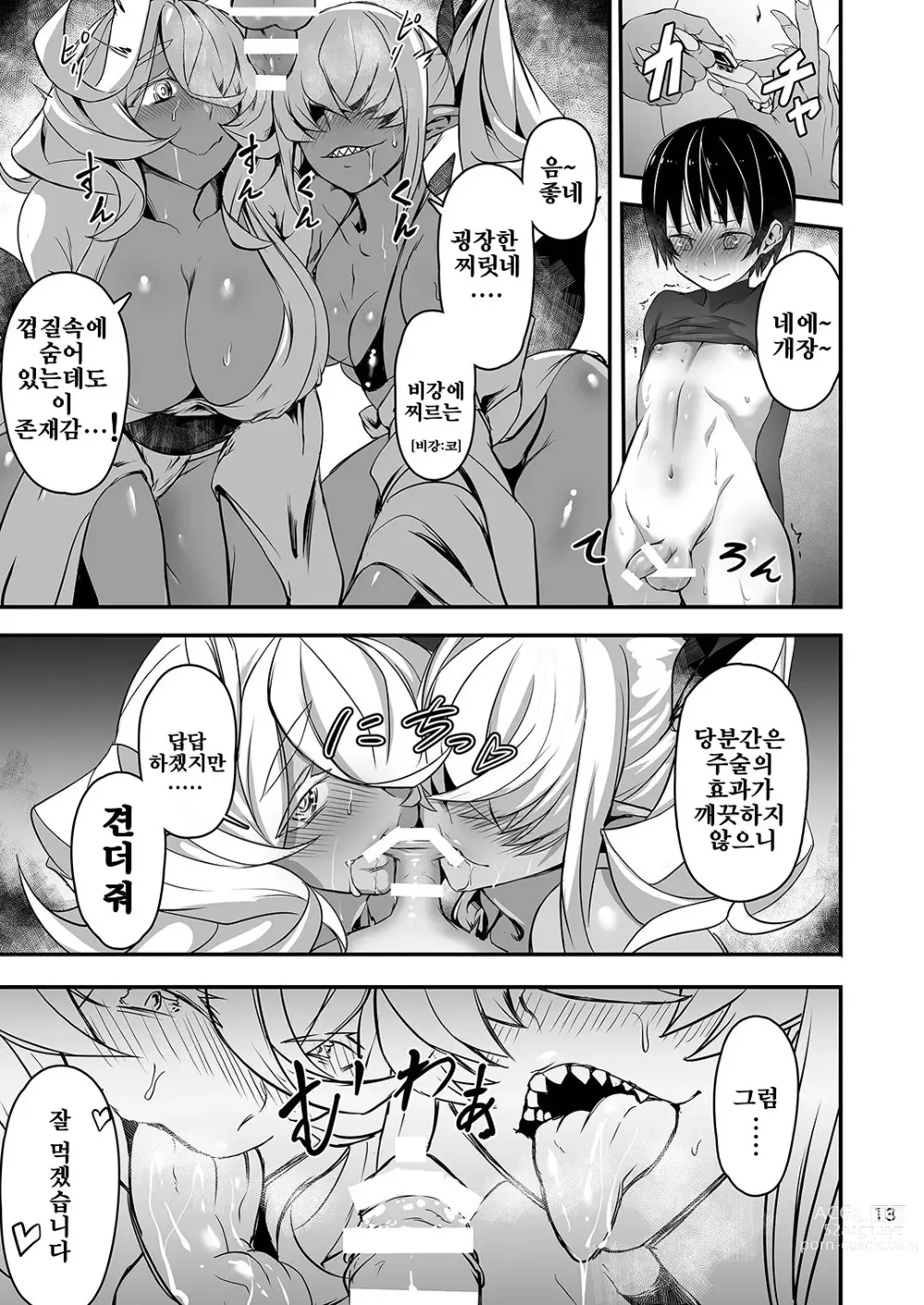 Page 13 of doujinshi 아카나메 가게