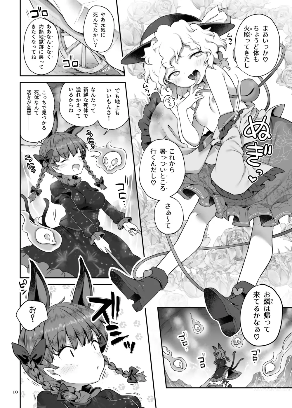 Page 9 of doujinshi [Unmei no Ikasumi (Harusame) Super Id (Touhou Project) [Digital]