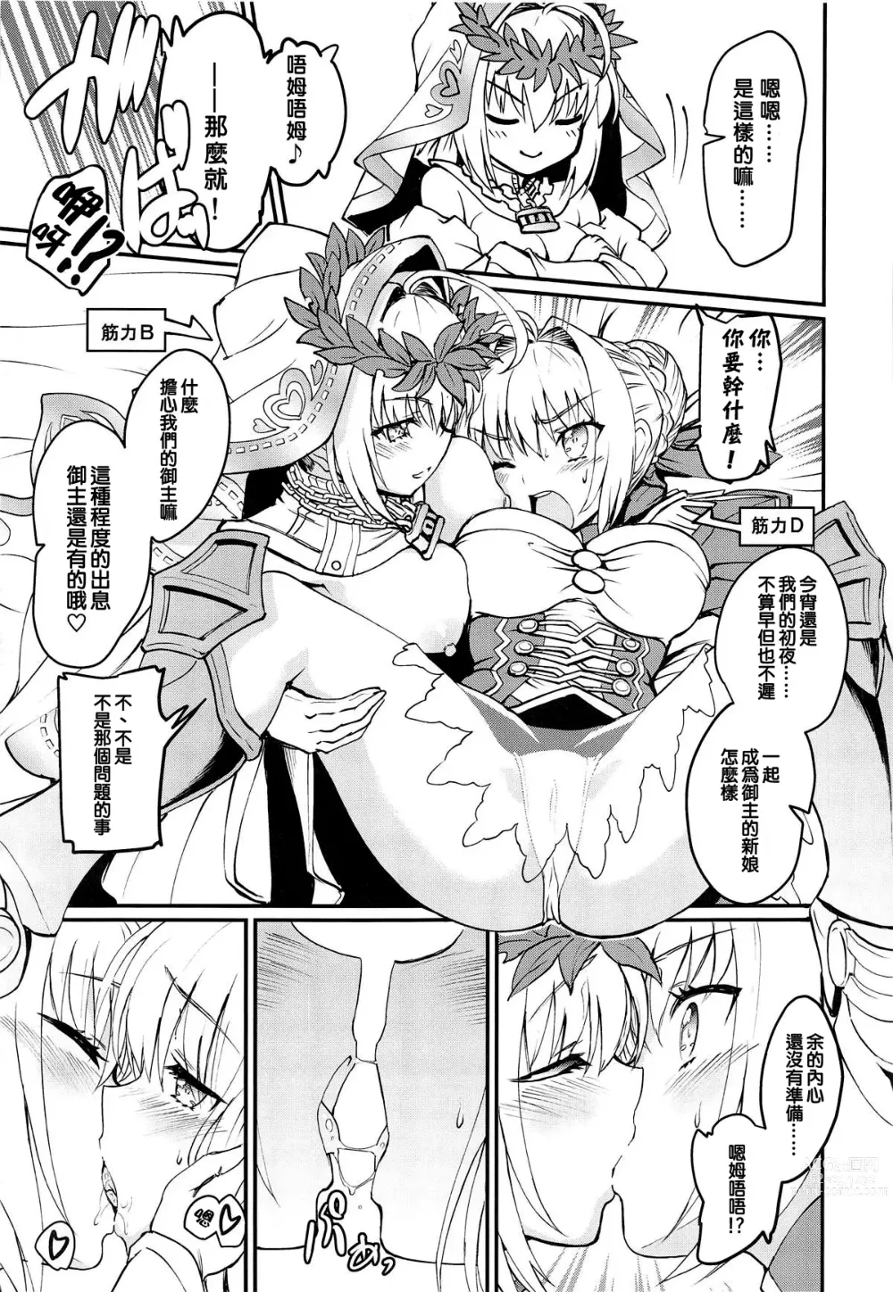 Page 26 of doujinshi 尼禄+尼禄!