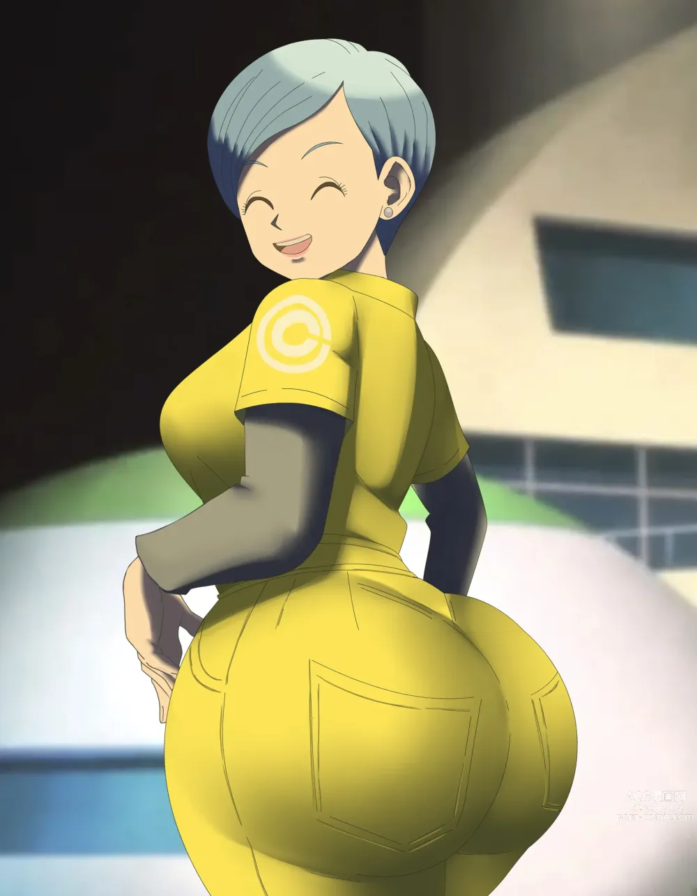 Page 1133 of imageset Bulma Briefs Collection