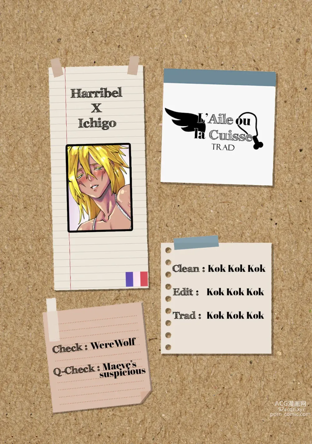 Page 3 of doujinshi Harribel X Ichigo (decensored)