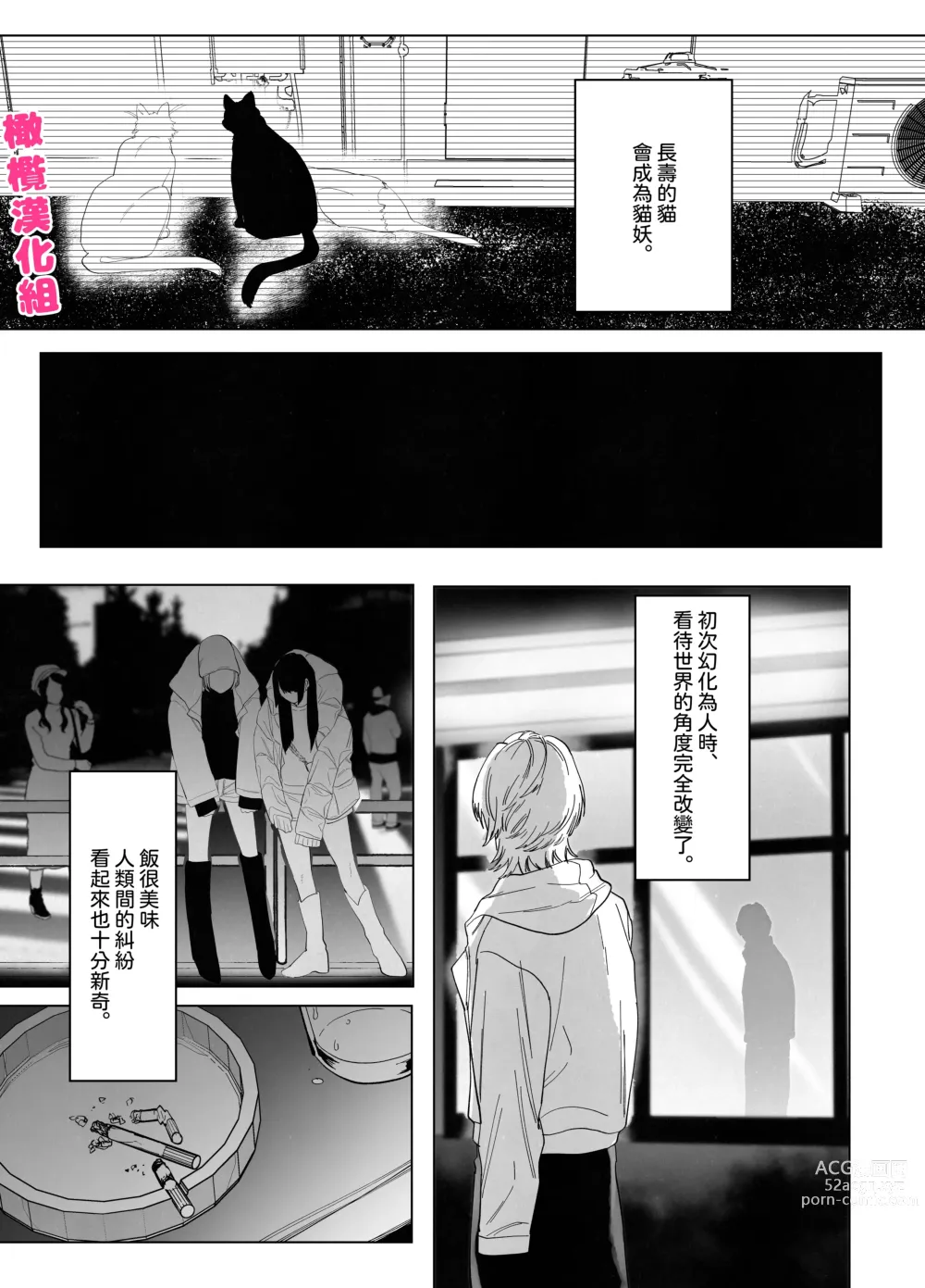 Page 2 of doujinshi 猫与未亡人