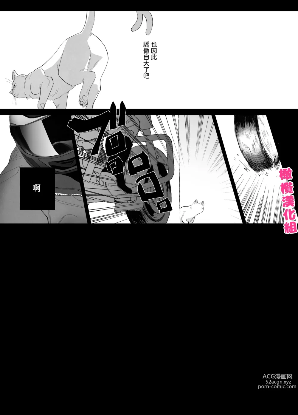 Page 4 of doujinshi 猫与未亡人