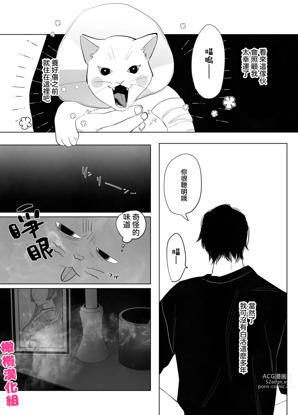 Page 7 of doujinshi 猫与未亡人