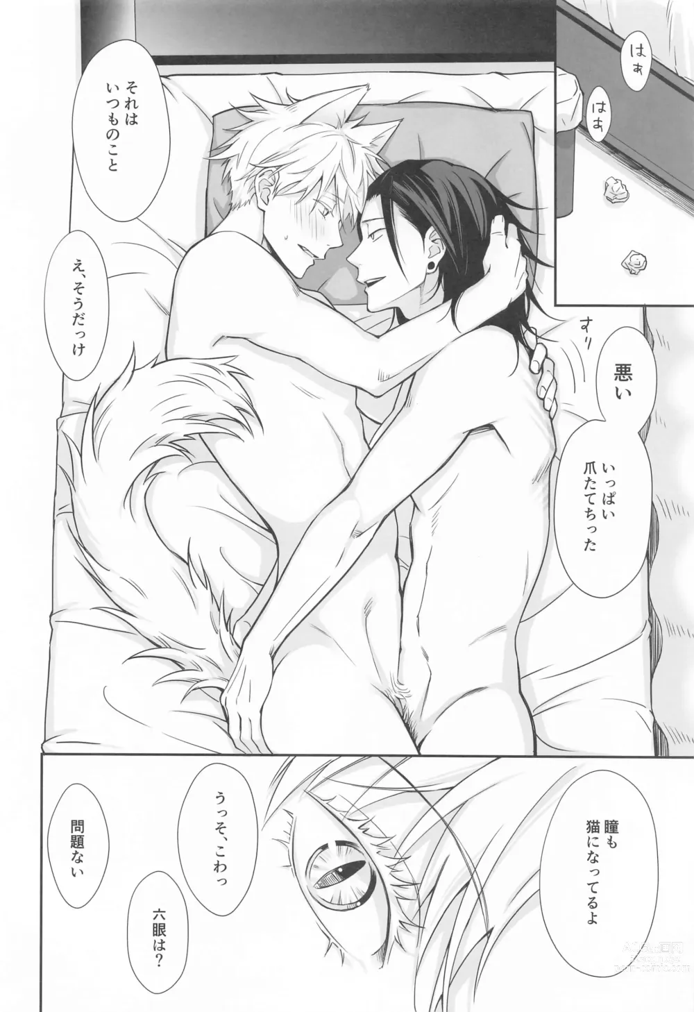 Page 19 of doujinshi NYAN NIGHT LOVE