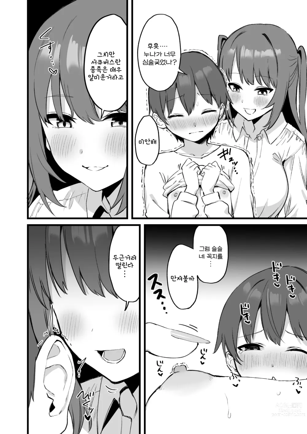 Page 18 of doujinshi 누나는 서큐버스!?