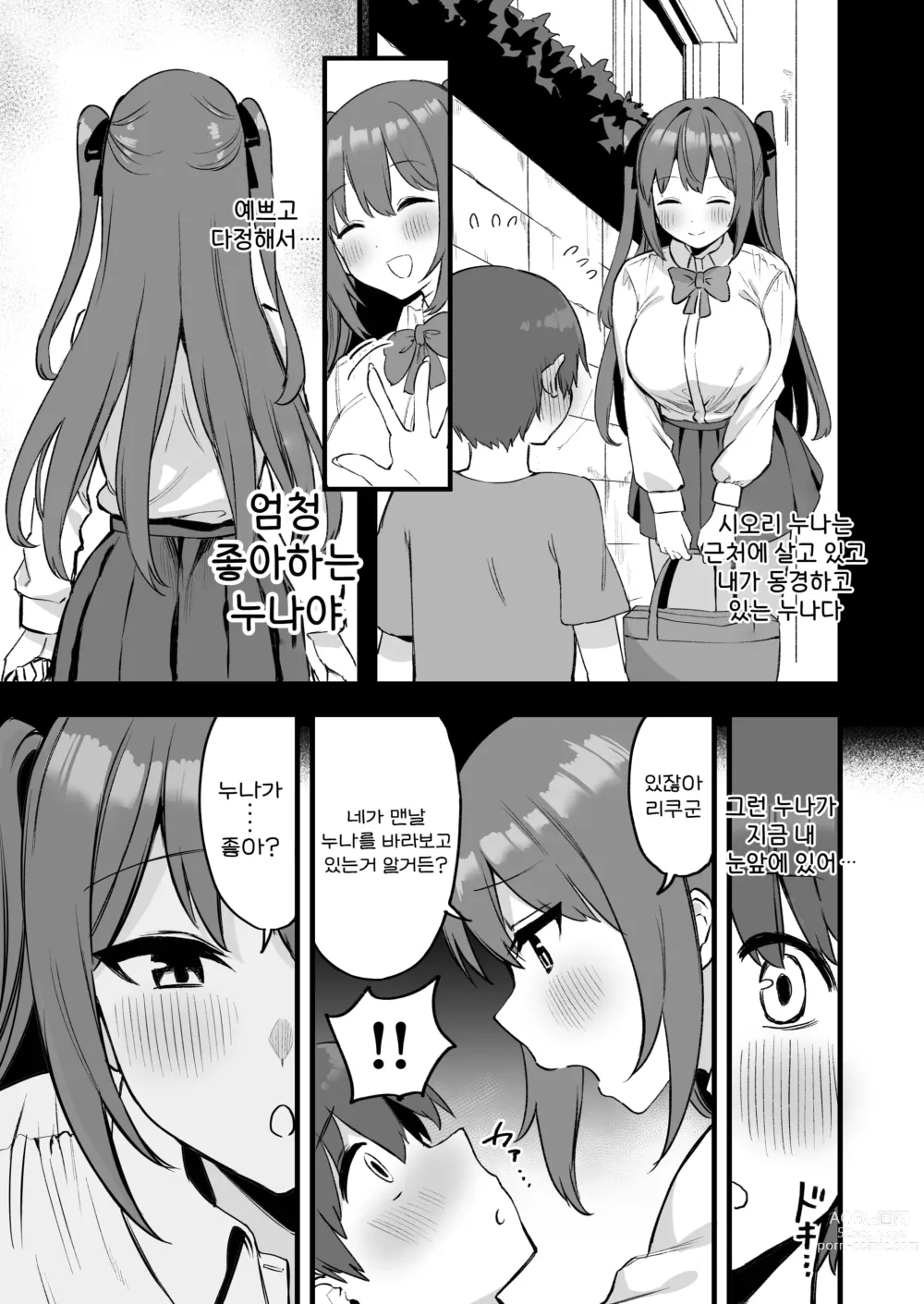 Page 5 of doujinshi 누나는 서큐버스!?