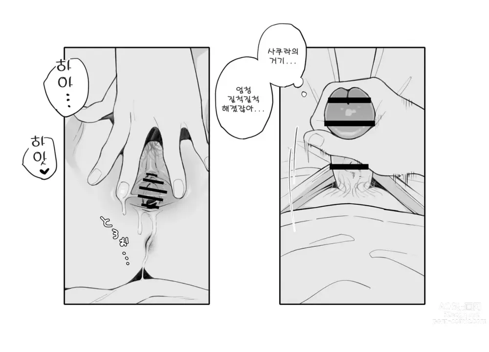 Page 14 of doujinshi 사쿠라와 영상전화