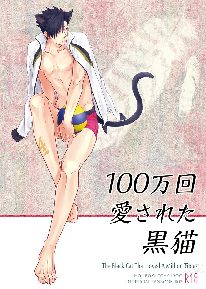 Page 1 of doujinshi 爱了一百万次的黑猫