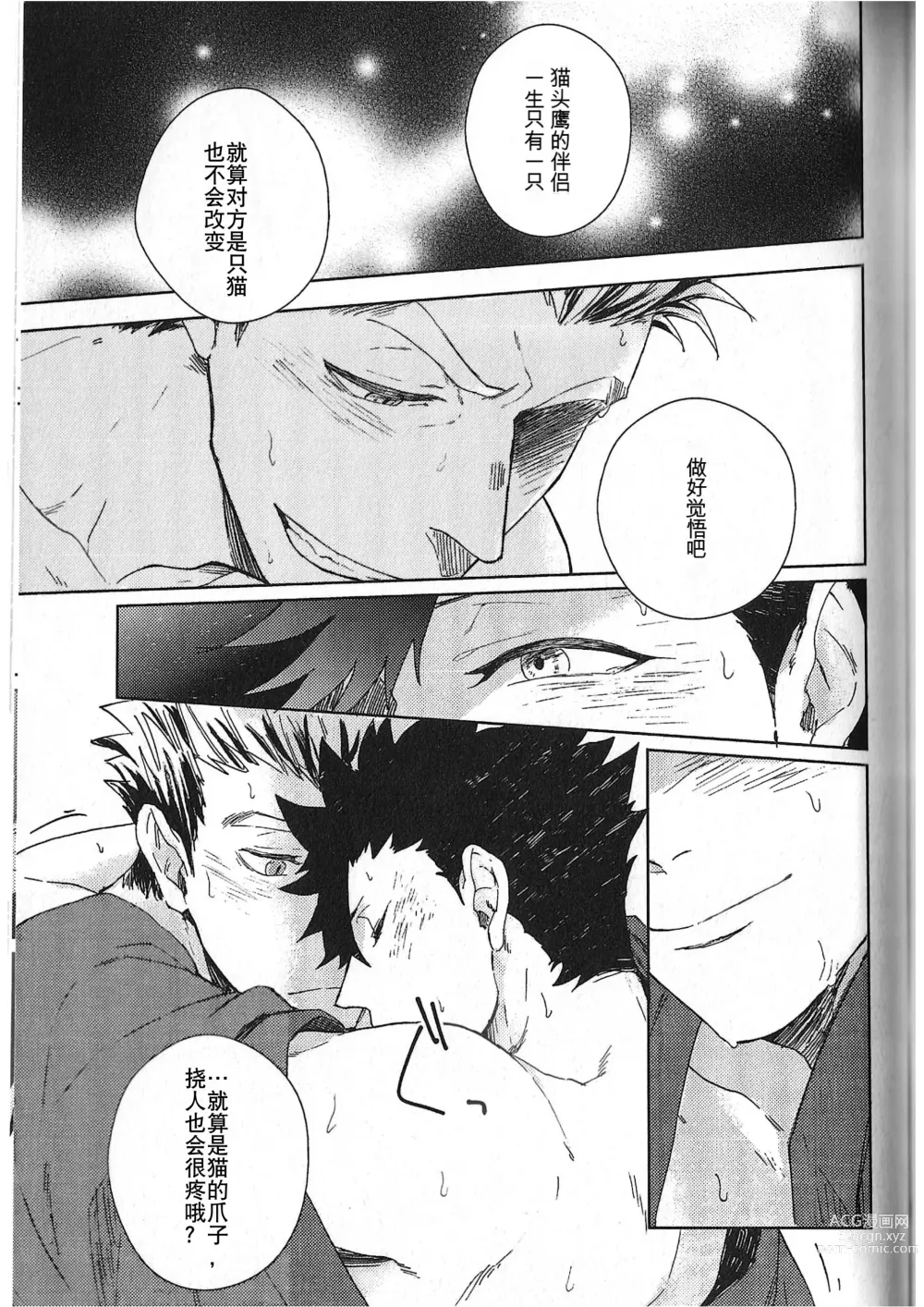 Page 42 of doujinshi 破晓之枭后篇