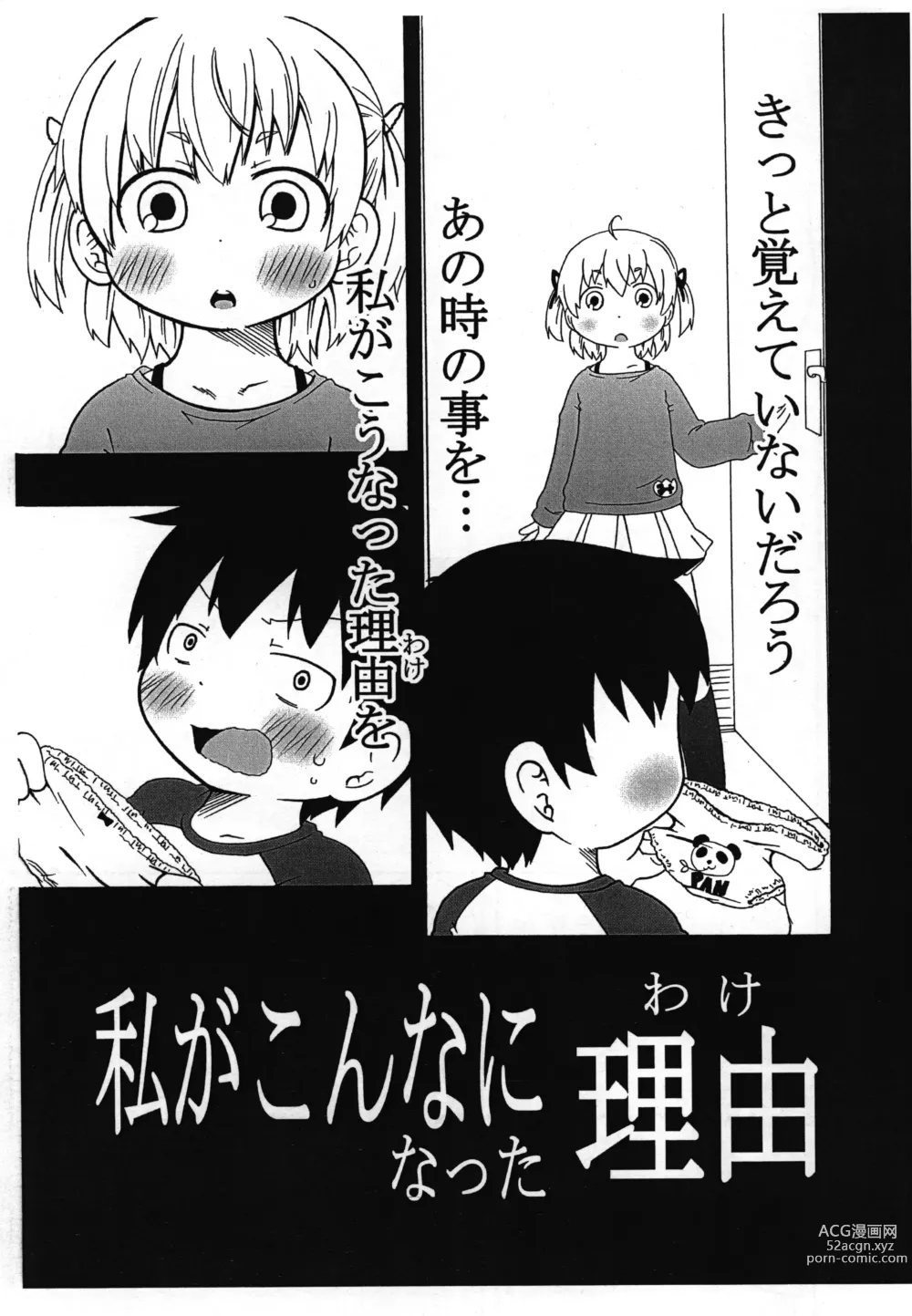 Page 2 of doujinshi Watashi ga Konna ni natta Wake